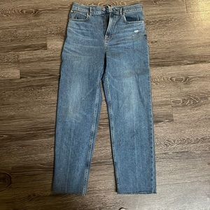 Everlane High Rise Jean 29L